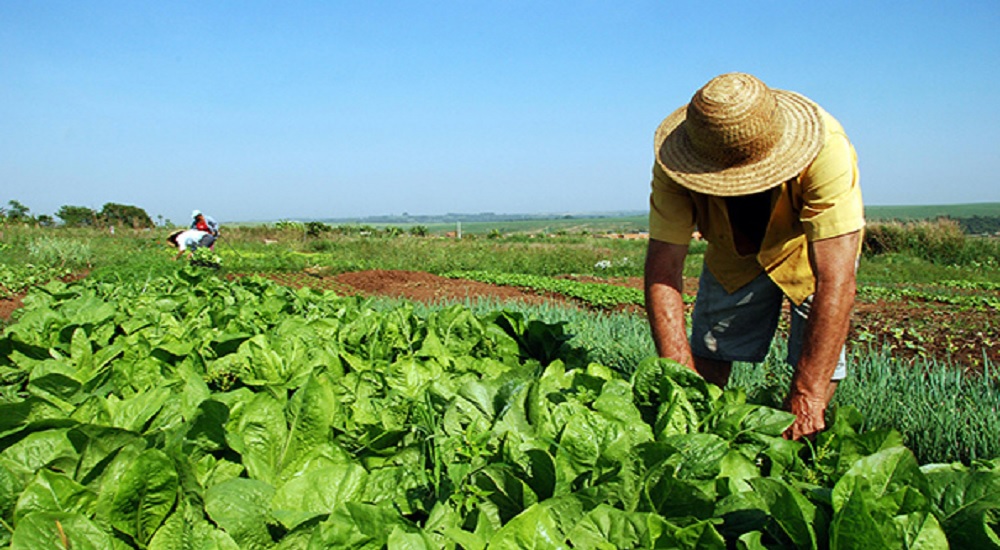Governo aguarda Congresso para montar programa de reforma agrária