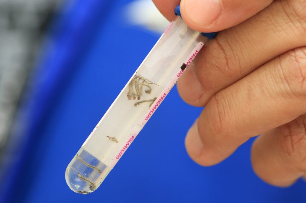 WhatsApp-Image-2023-07-27-at-08.52.26-1024x682