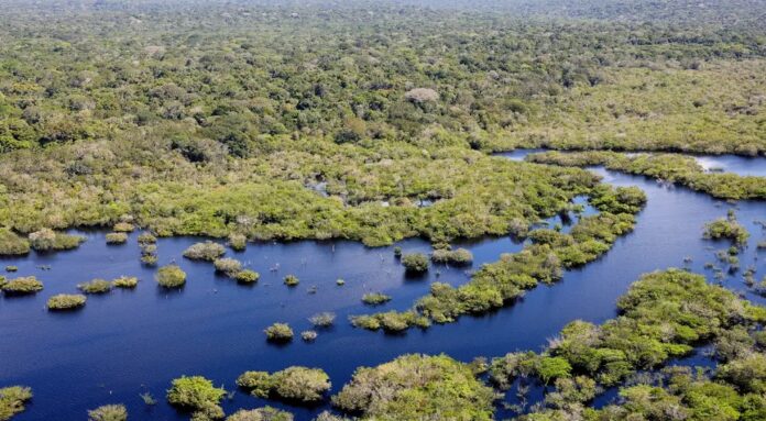 Ibama receberá 825,7 milhões para combate ao desmatamento ilegal Ibama receberá 825,7 milhões para combate ao desmatamento ilegal
