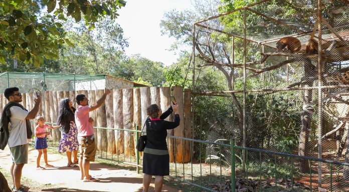 Zoo de Brasília reabre com funcionamento diário durante o mês de julho