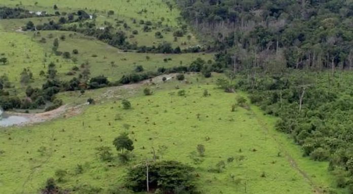 Prazo para georreferenciamento de imóveis rurais é prorrogado