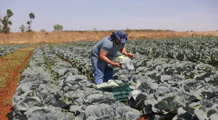 Fundo de Desenvolvimento Rural é fortalecido pelo GDF