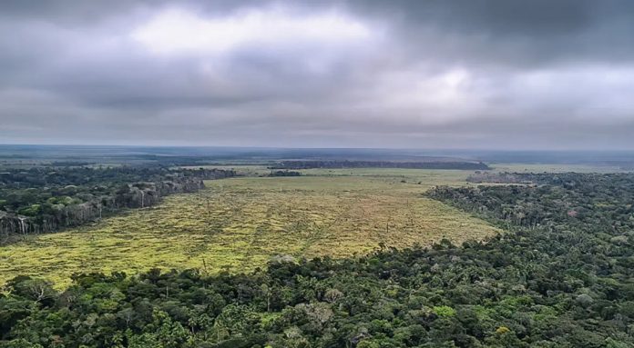 Manutenção de vetos à lei do licenciamento ambiental é defendida pelo governo