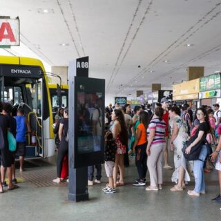 Vai de Graça deve valer também nas festas do fim de ano