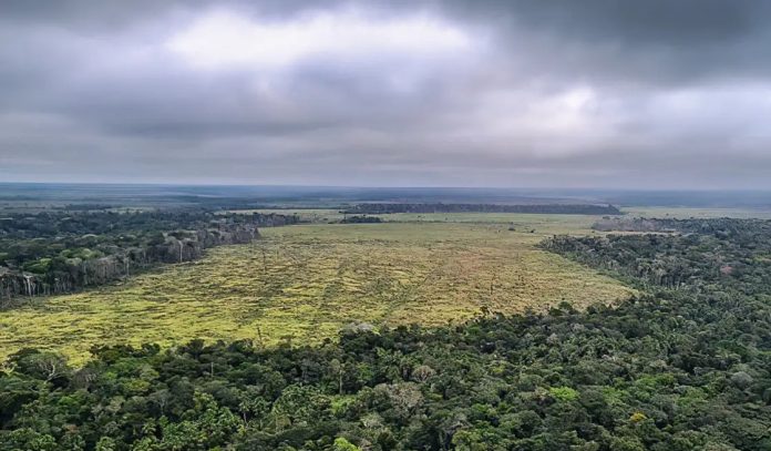 Meta climática segue em risco mesmo com diminuição de gases