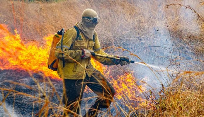 Divulgado planejamento para enfrentar incêndios em 2026
