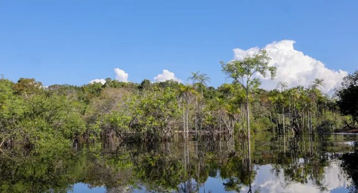 Transição ecológica contou com R$ 179 bi desde 2023