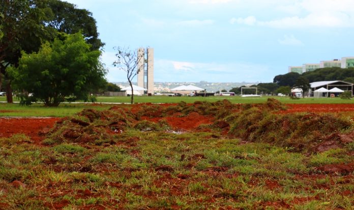 Esplanada dos Ministérios passa por recuperação de gramado