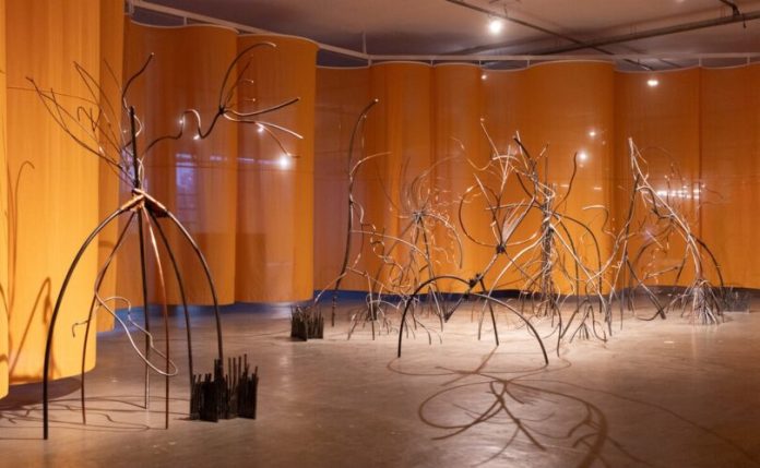 Bienal de São Paulo traz 36ª mostra itinerante