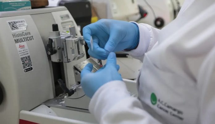 SUS vai ampliar acesso a terapias e vacinas contra o câncer