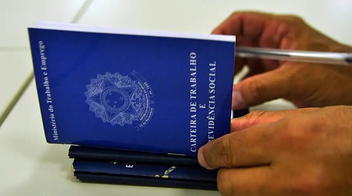 Pesquisa mostra que brasileiro prefere emprego com carteira assinada