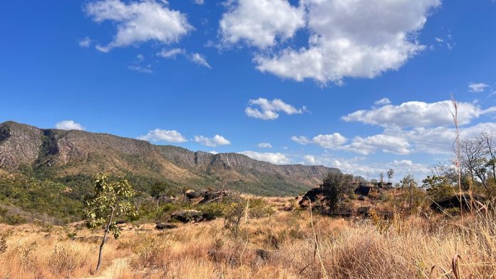 Dia da Caminhada nas Trilhas Ecológicas será comemorado em 1° de agosto