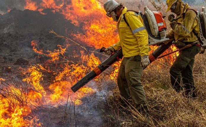 Cerca de R$ 337 milhões é liberado para combate a incêndios