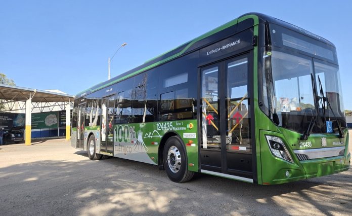 Ônibus elétricos começam a circular no DF