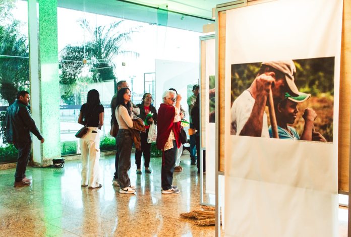 Memorial dos Povos Indígenas recebe Exposição dos Povos da Floresta