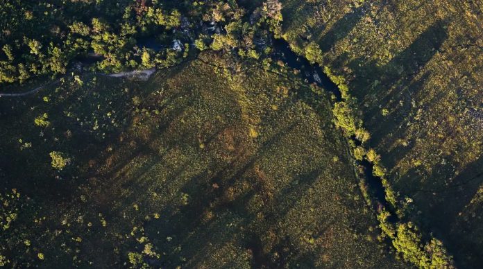 Projetos rurais sustentáveis terão juros mais baixos