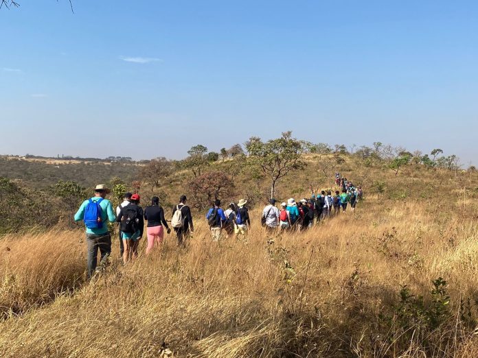 Caminhadas em trilhas ecológicas do DF acontecerá neste sábado (1°)