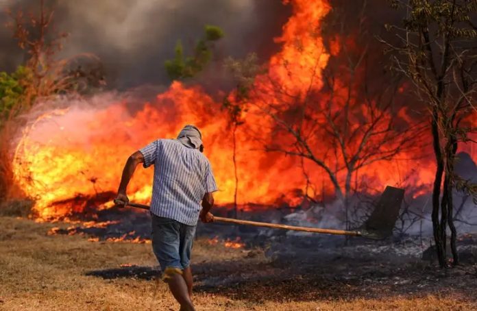 Período de seca exige mais atenção contra queimadas