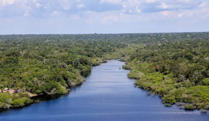 Bioecon reúne políticas públicas para a bioeconomia na Pan-Amazônia
